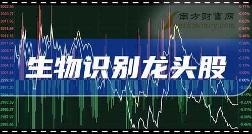 生物識別龍頭企業(yè)前三名 2025年展望與技術(shù)開發(fā)服務(wù)解析